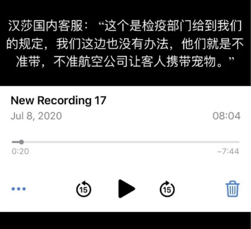 上百只海外宠物滞留！毛孩子紧急求助：希望能和我们的铲屎官一起平安回家！